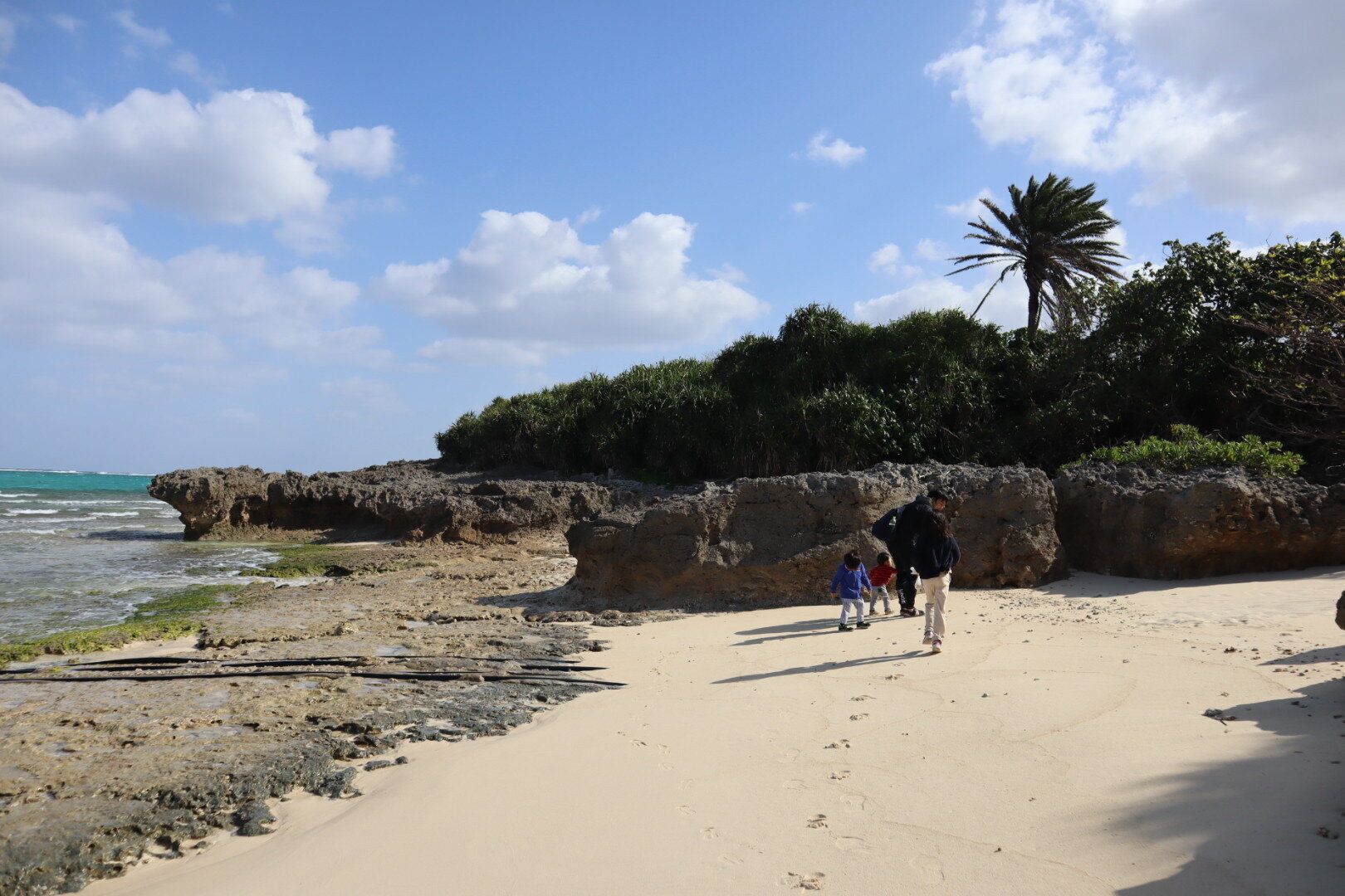 ボーナスで年間計画