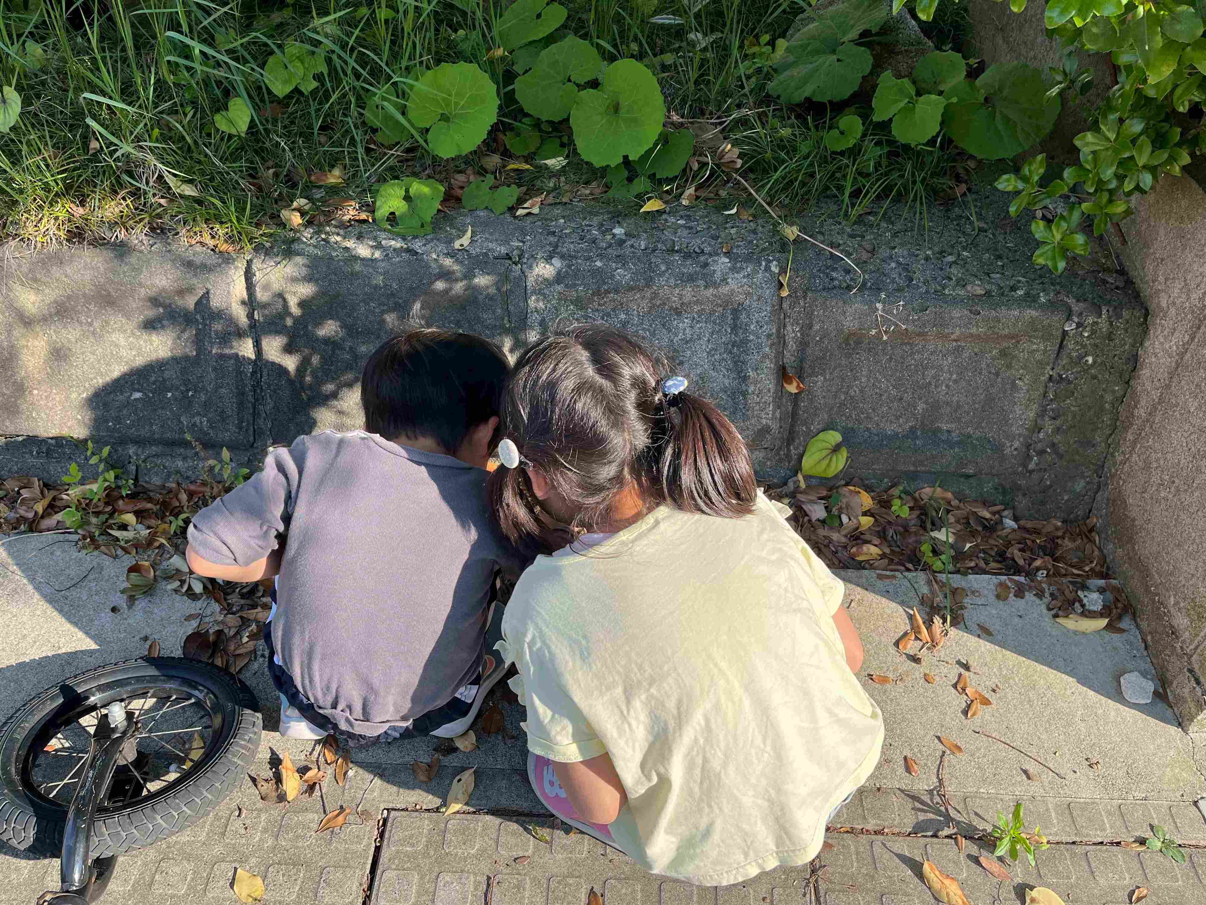 小一女子お金の使い方