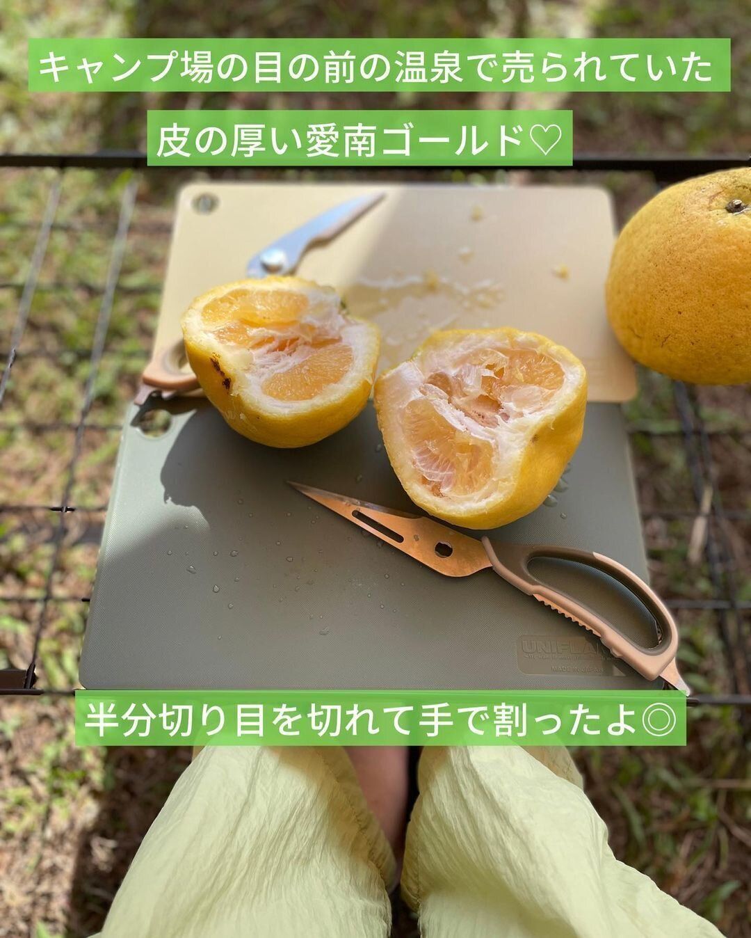 【ワークマン】使いかた8通り!万能ハサミ