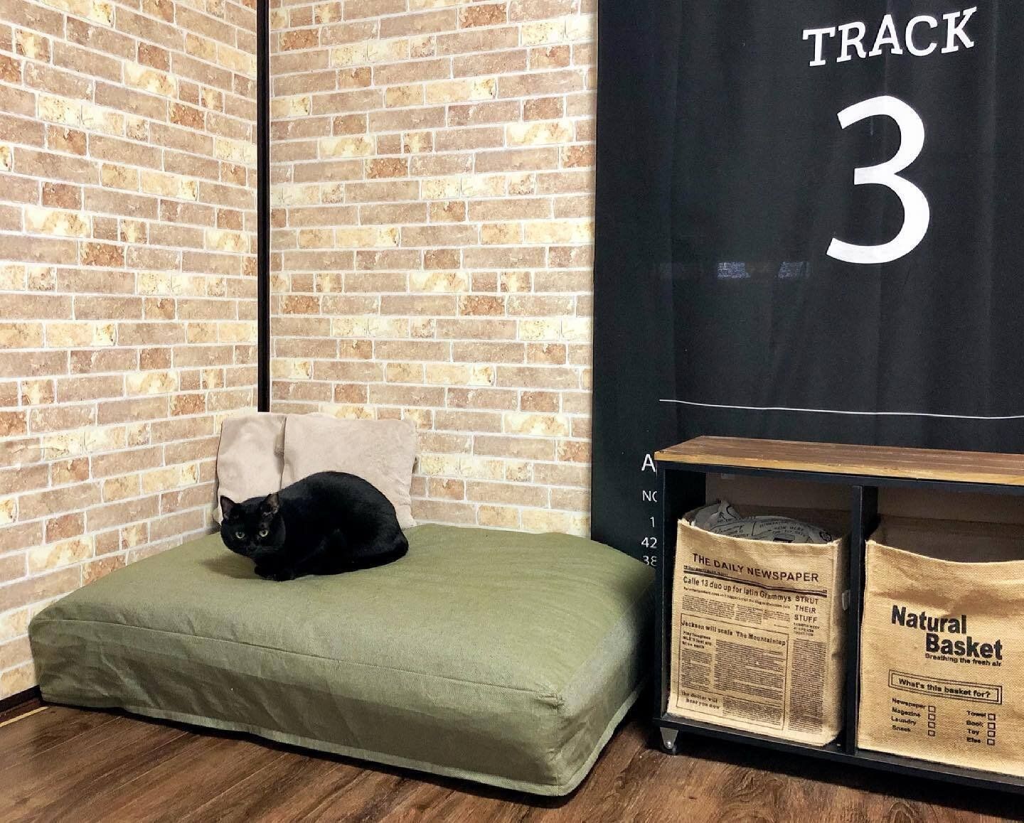 ソファ代わりにして出しっぱなしもOK!