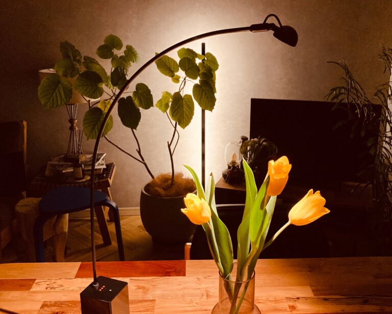 【ルームスタイリスト推薦】安らげる夜にするための「照明」テクニック3選