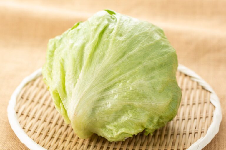 レタスは冷凍できる！やってしまいがちな4つのNGを野菜ソムリエが解説