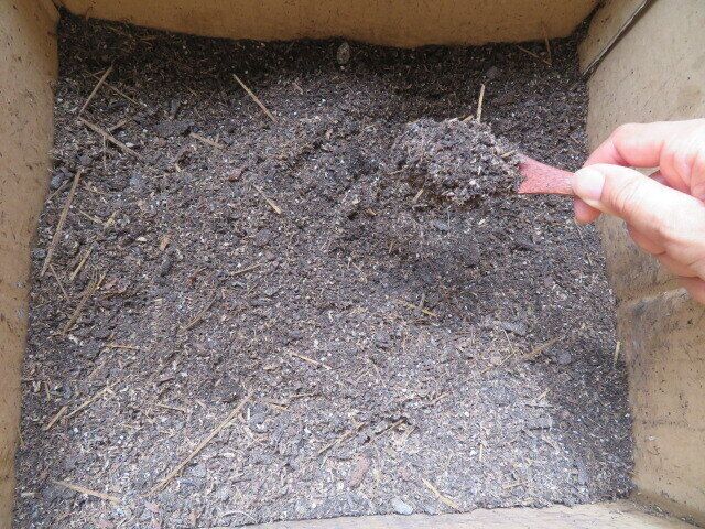 コンポストに入れて大丈夫？むしろ積極的に入れて成功したもの3