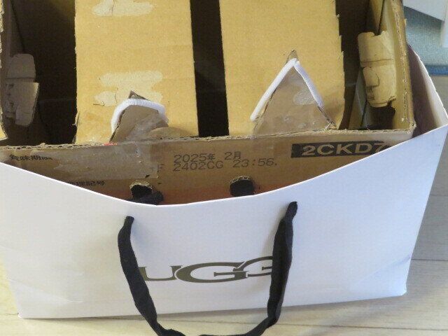 子どもの工作を運ぶ