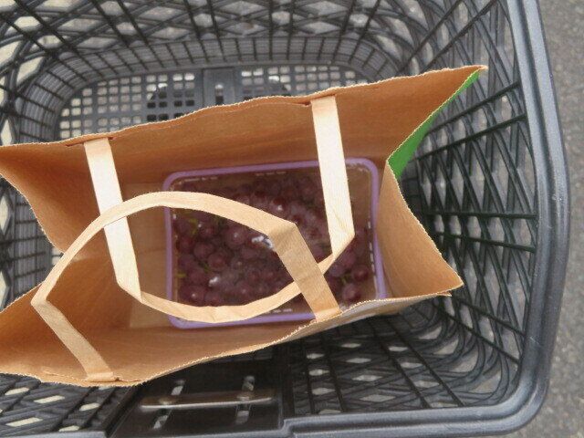 果物を持ち帰る