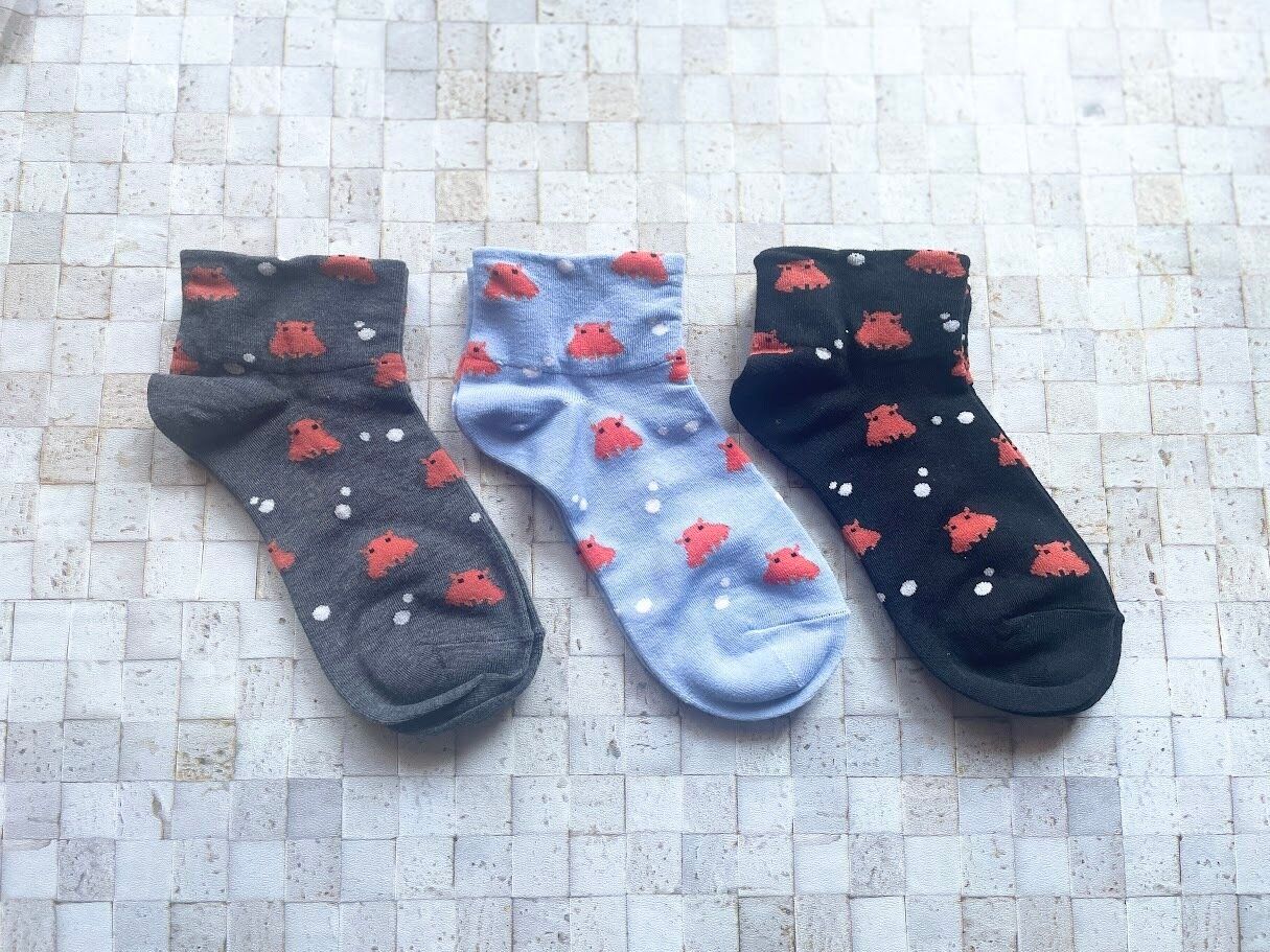 【キャンドゥ】110円でいいんですか?子どもに人気の「メンダコ」ソックス!
