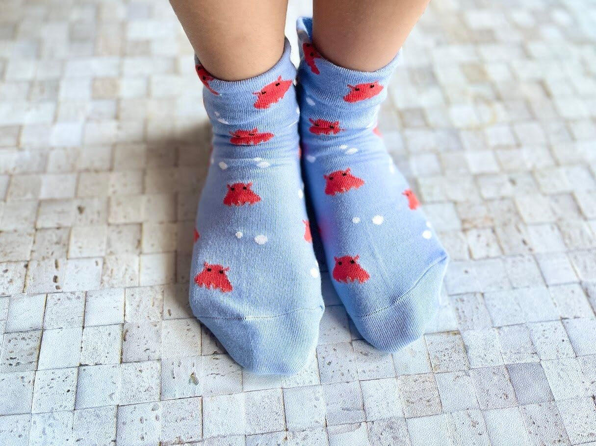 メンダコ靴下を履いたところ