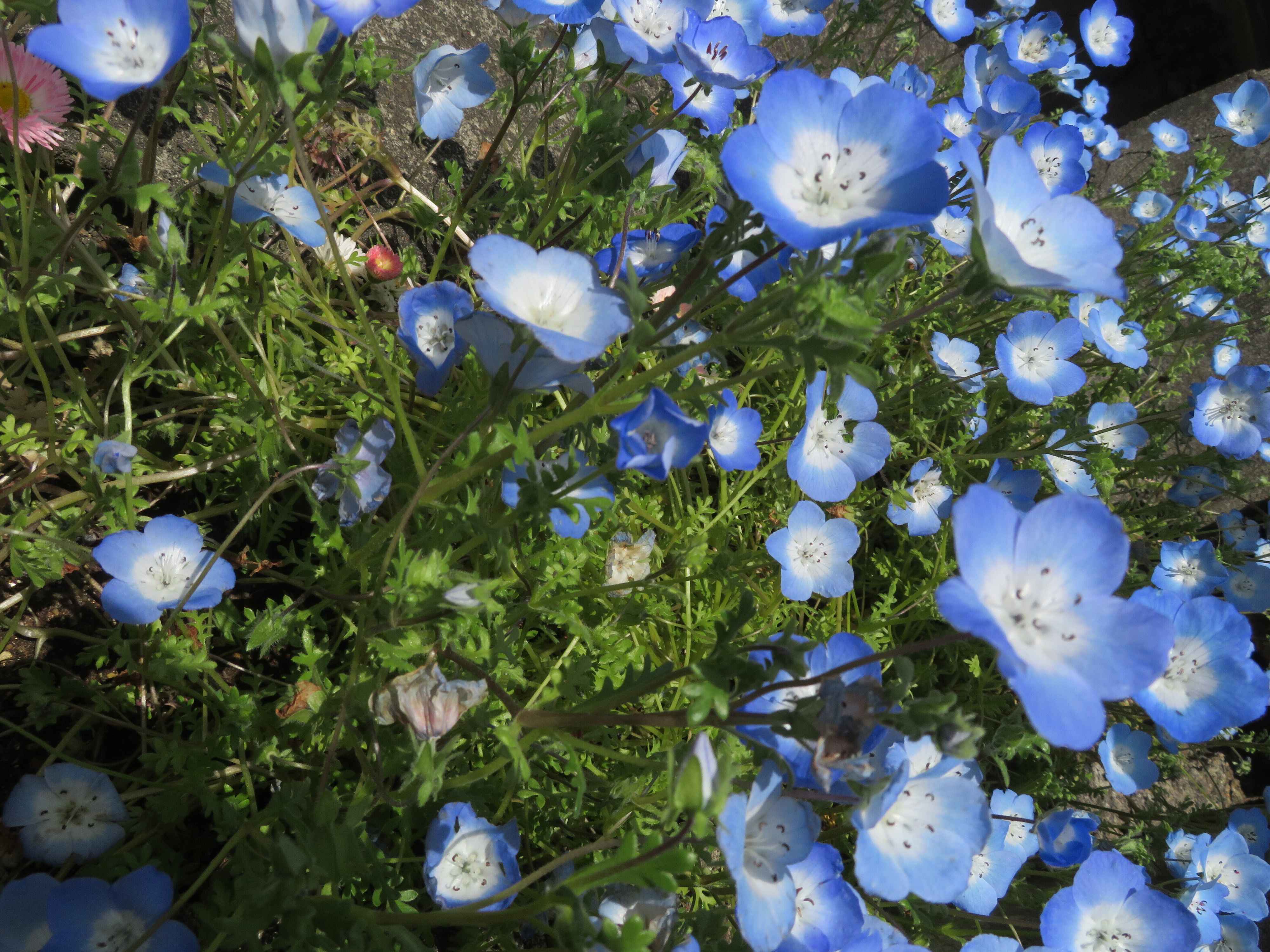 比べることに疲れたら?すごい人を見ても自己肯定感を下げない方法