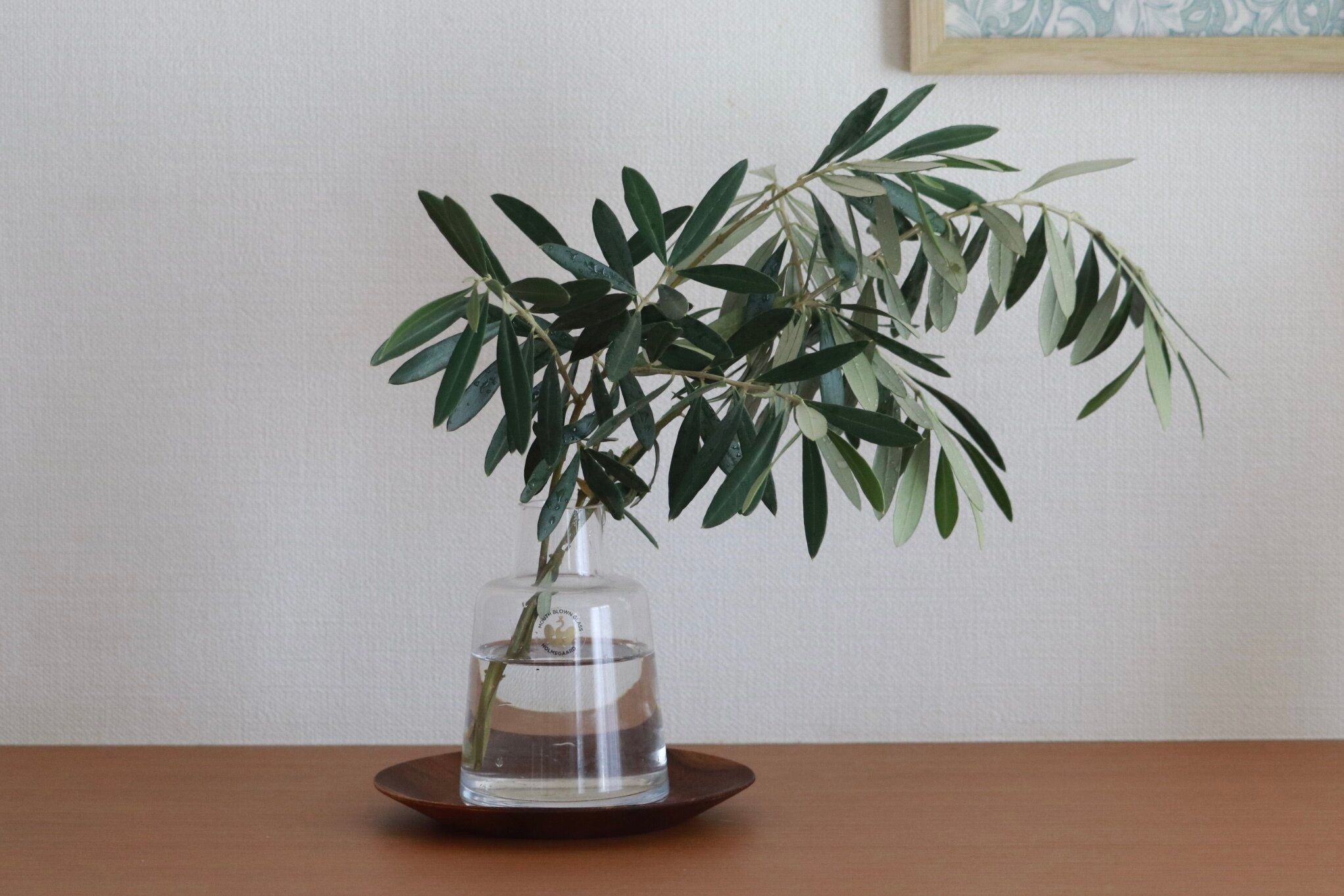 【3COINS】置いて映えるのは食品だけじゃない！スリコのチークプレート