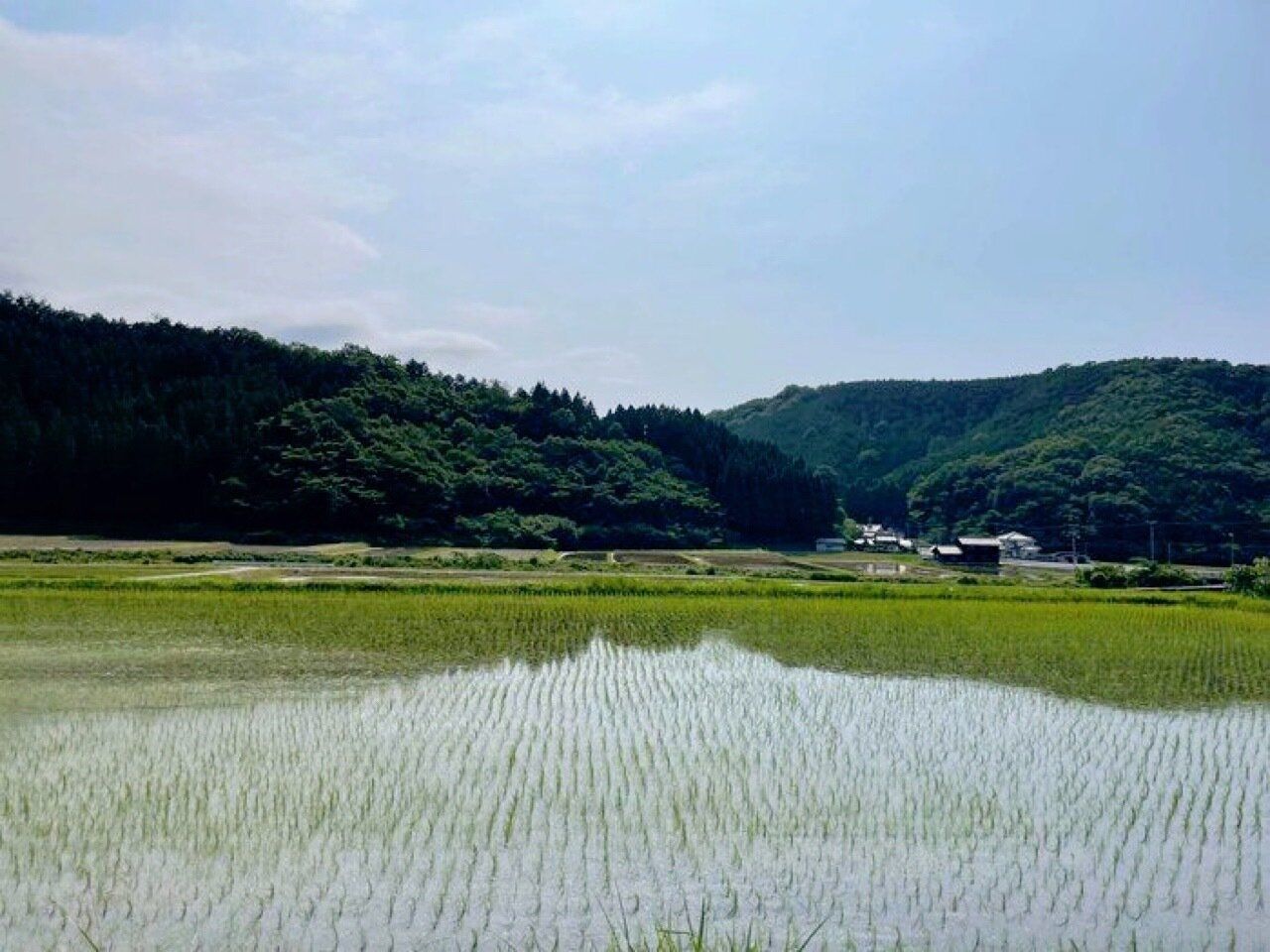 【田舎暮らし3年目】田舎でフリーランスってどうなの?あえて言いたいデメリット3選