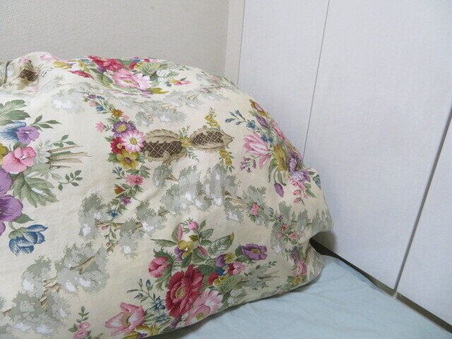 なぜ1つしかない傘と羽毛布団を捨てた?ミニマリストを目指す前に注意したいこと