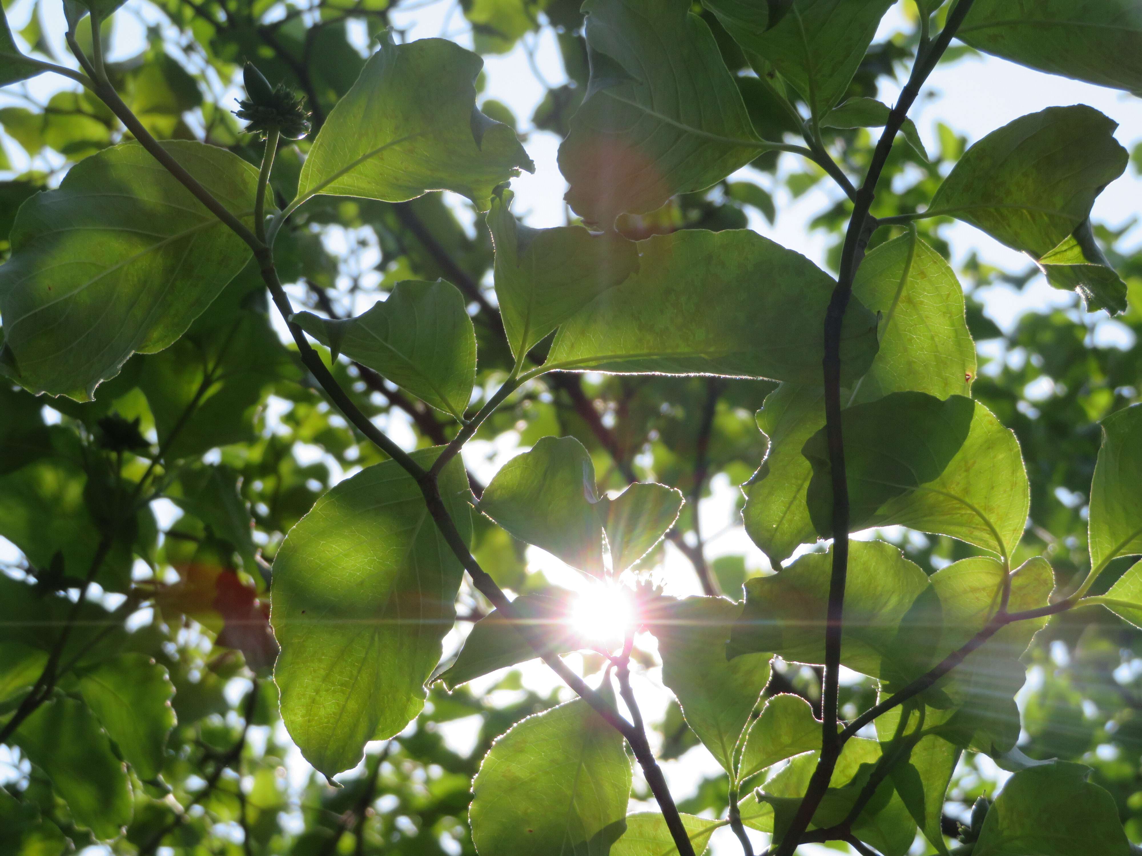 大切なのは自己肯定感