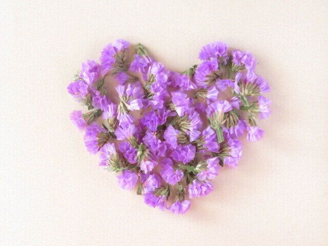 職場周辺でお気に入りを探す