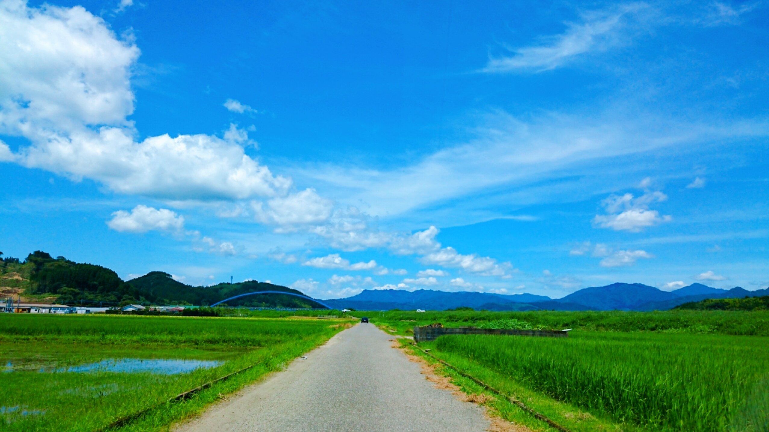 【カルディ】懐かしさ満載!味で昔を思い出す昭和風のアイス3選