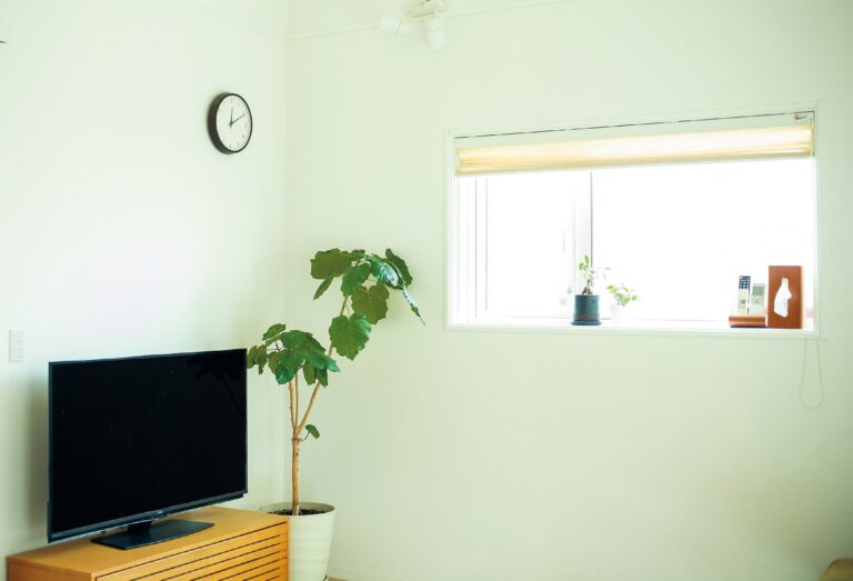 貯めたポイントで物を買うのをやめる⁉機嫌よく貯めてる人の頑張らない仕組み