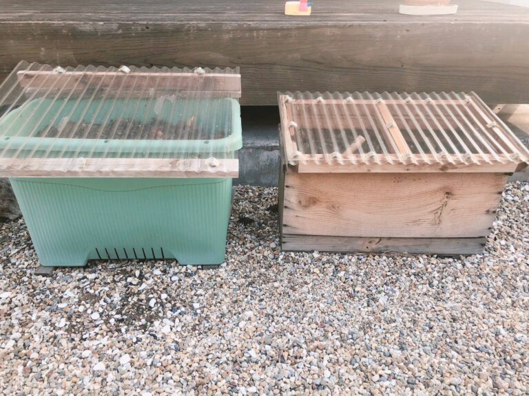 コンポストを始めるなら夏がおすすめ！理由3つ