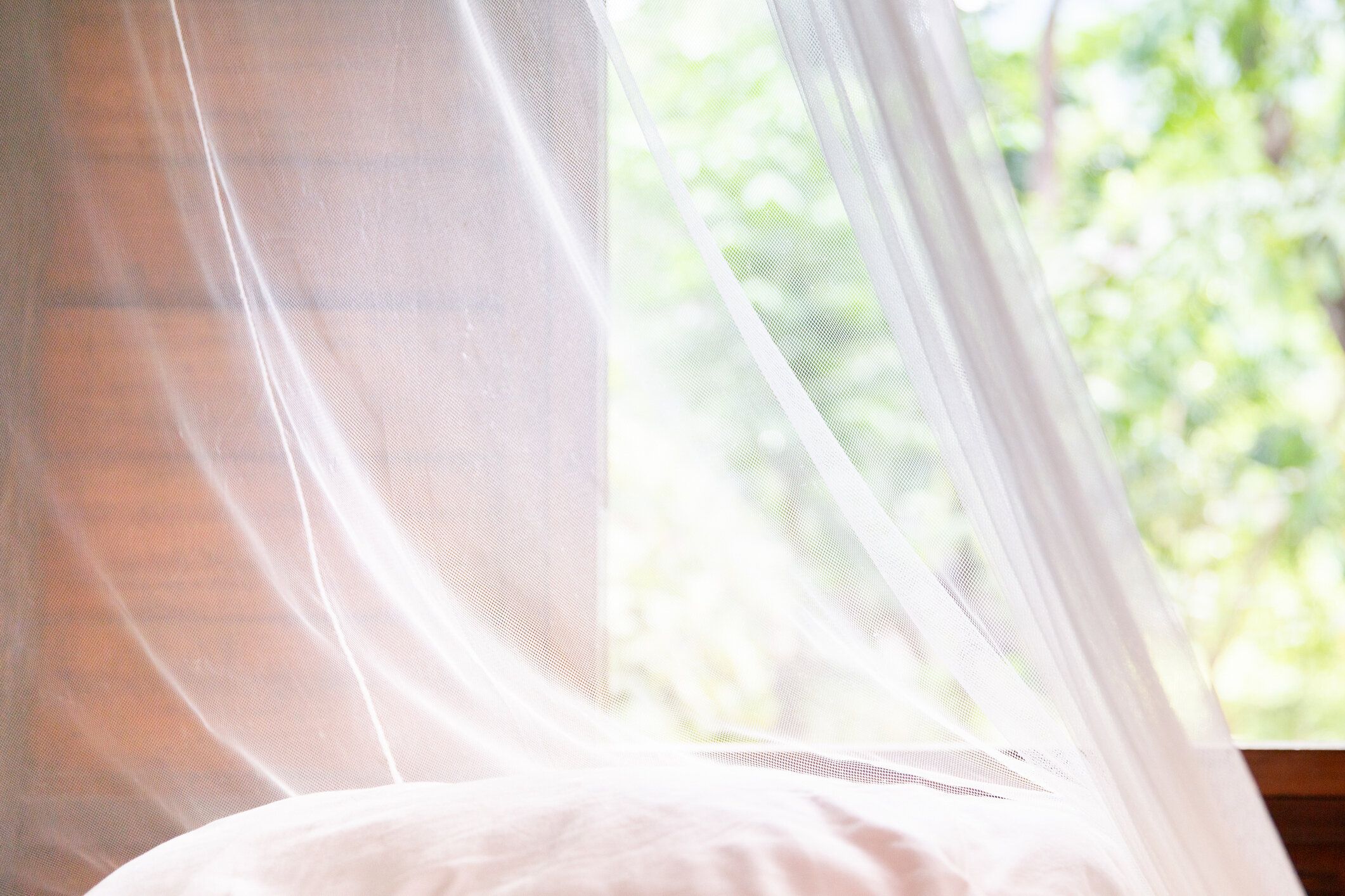 小屋や家にヴィンテージ白モスキート カーテン