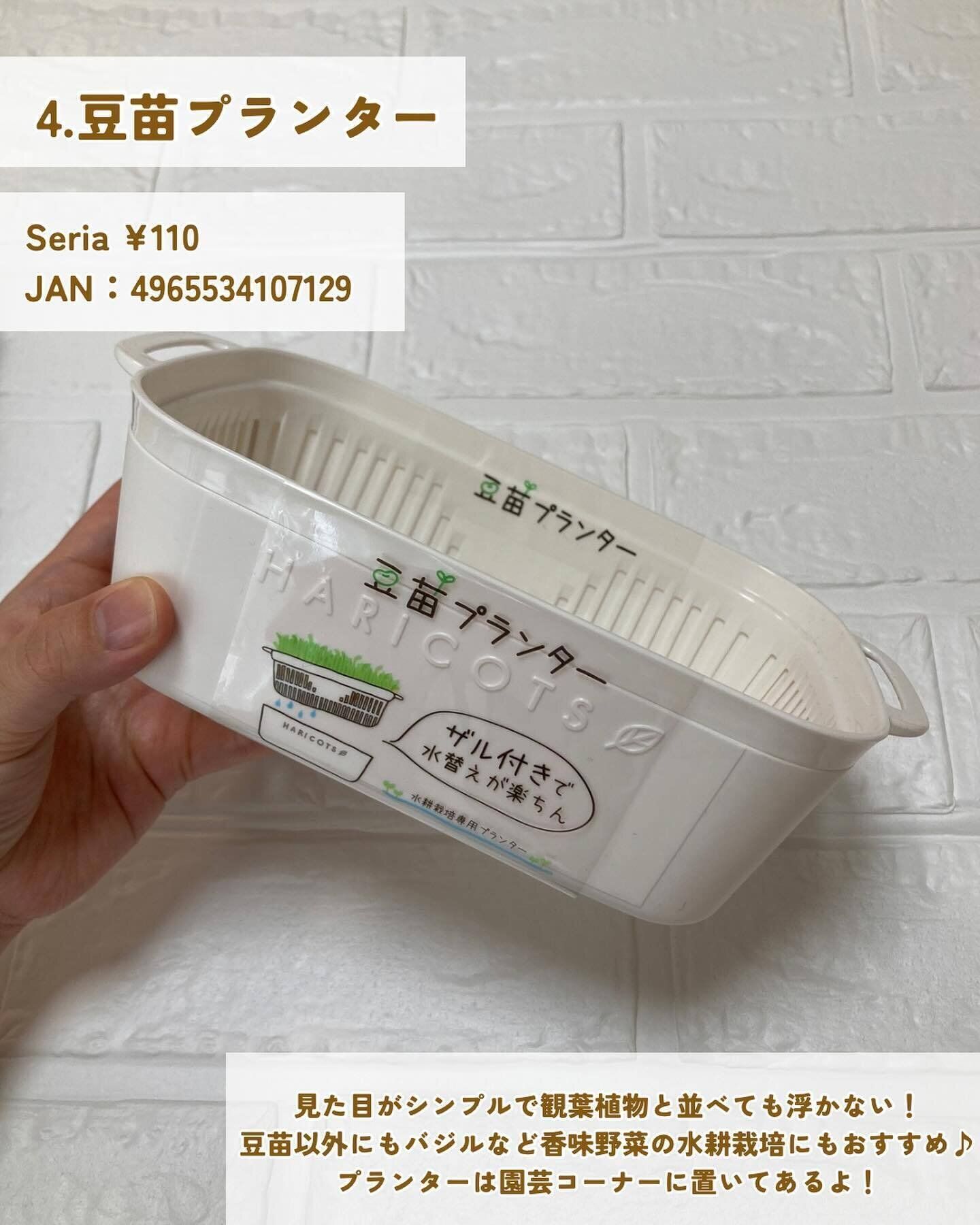 手軽にリボベジを!「豆苗プランター」