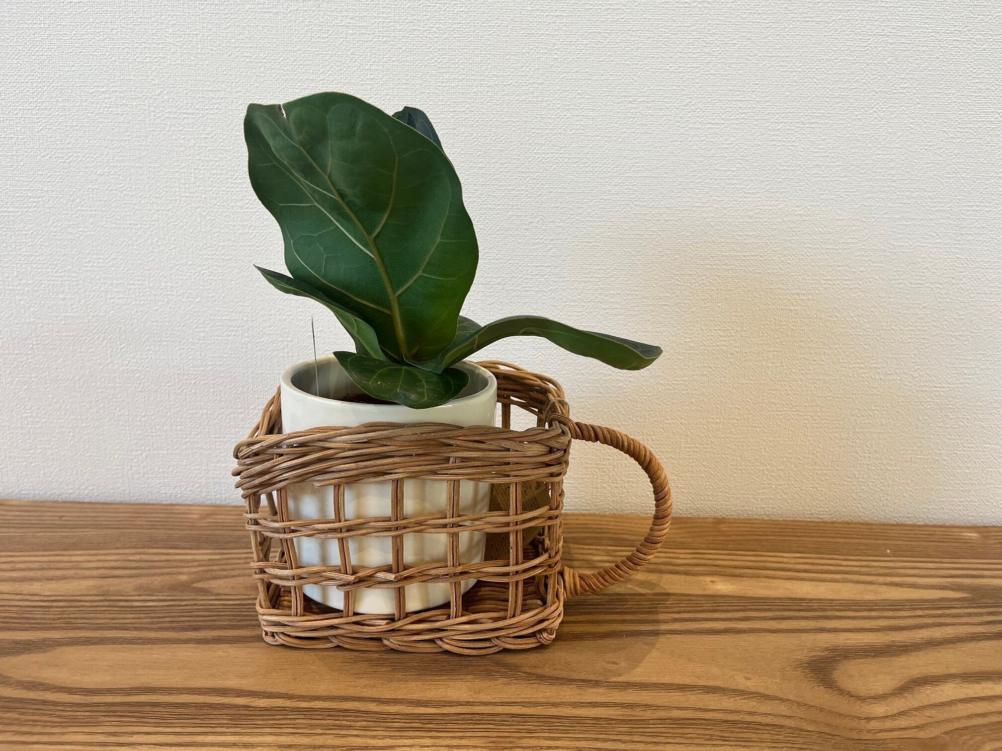 リビングをスッキリさせたいならコレ！整理収納のプロがおすすめするアイテム3選