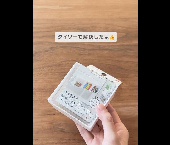 【ダイソー】いつでも小掃除に!マグネットスイングケース