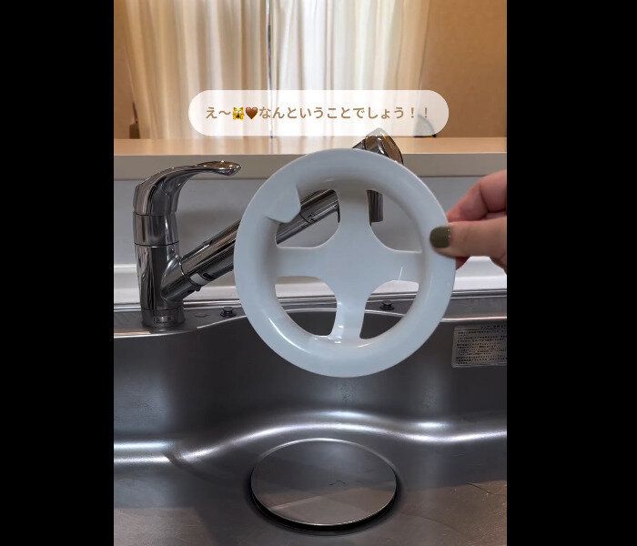 【ダイソー】110円でコスパいい！洗いやすいネットホルダー