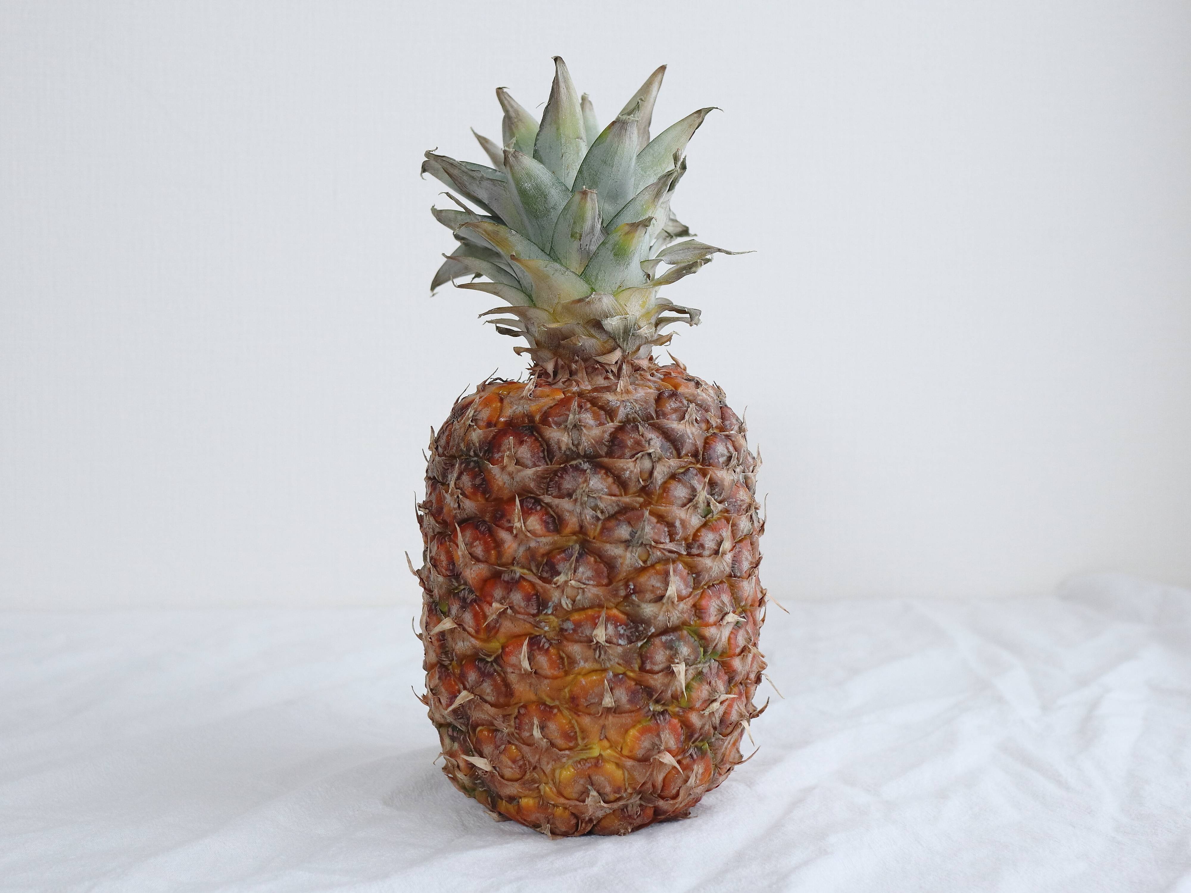 ふっくらしている