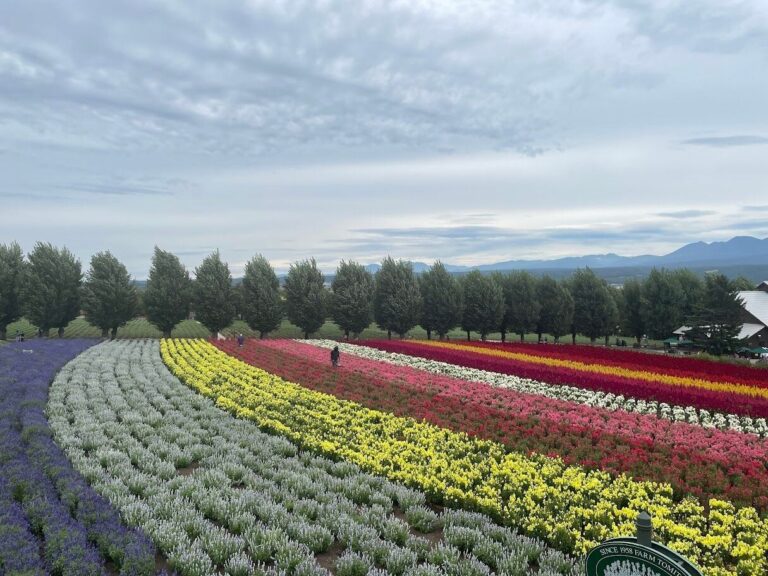 ５年ぶりに北海道の実家へ帰省！北海道のテレビにも出演してきました