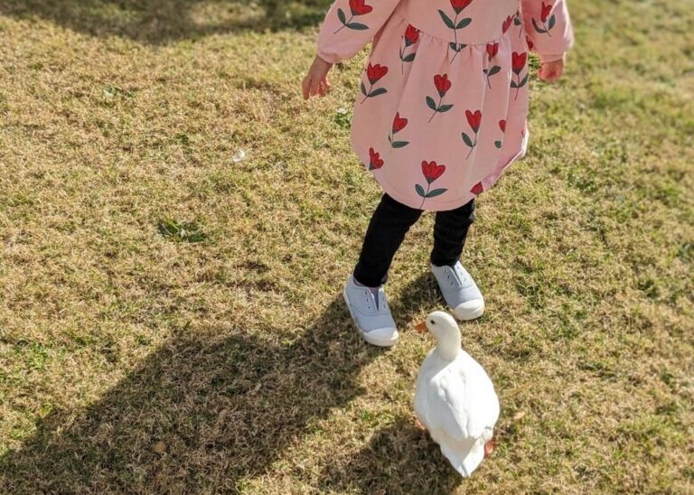 【家族会議】「ペットが飼いたい」子どもたちの願いに家族で話し合い！田舎子育て