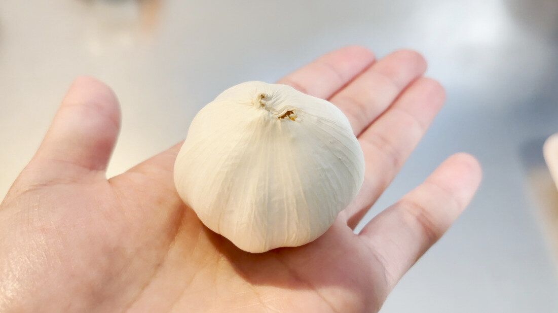 手のひらにのせたにんにく