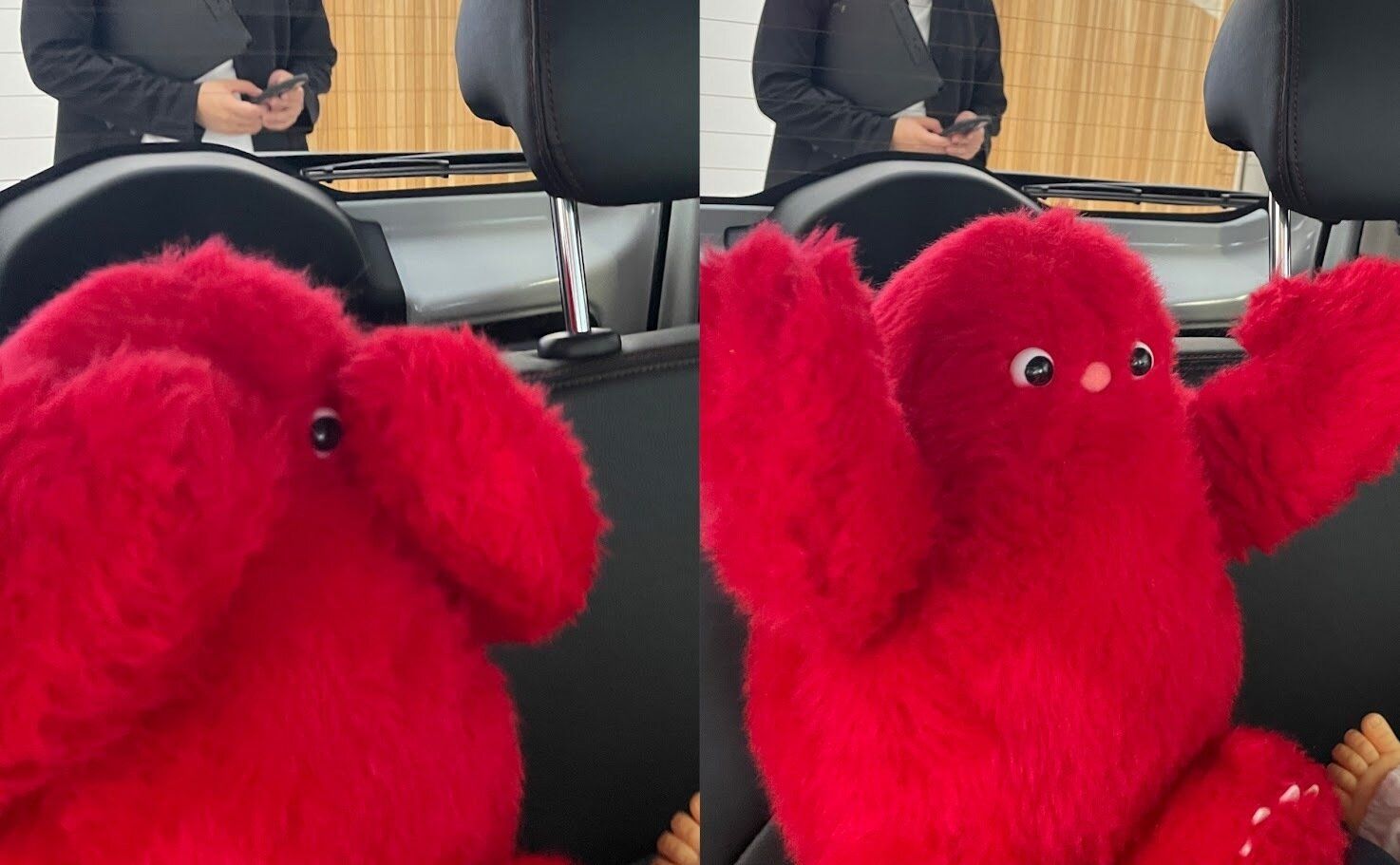 いないいいないばあもできる