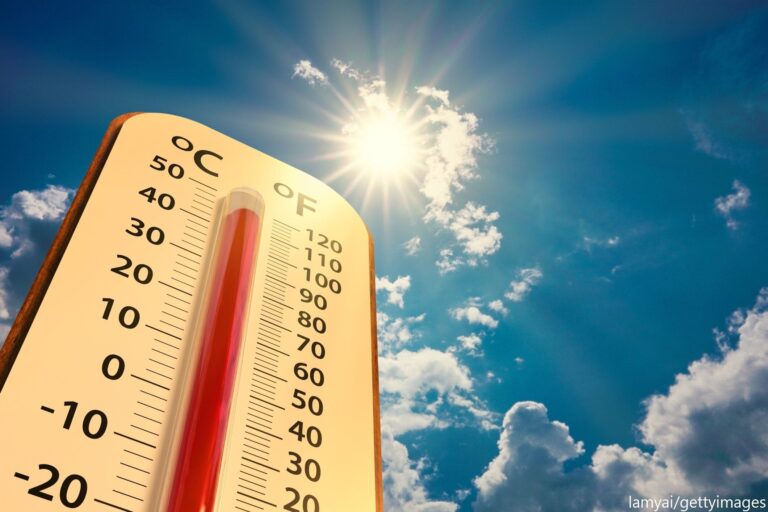 話題のアイテムも追加！今年の猛暑対策5選