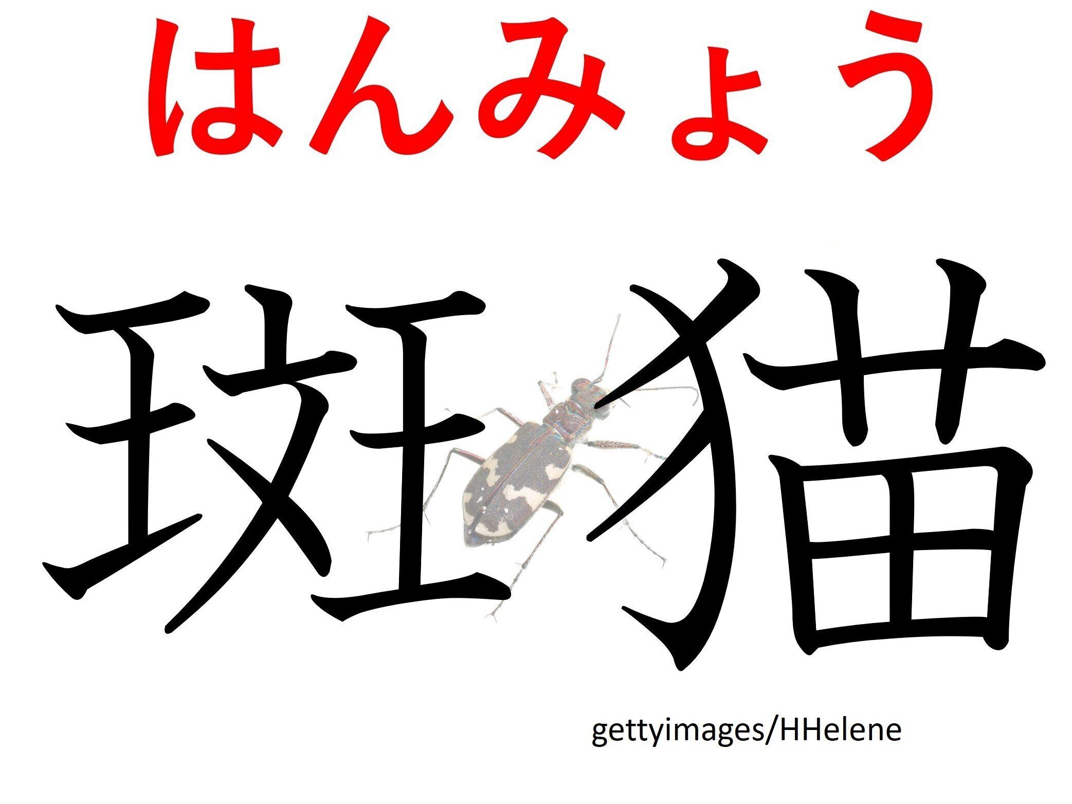 「ぶちねこ」とも読めるけど、違う読み方もあります…難読漢字「斑猫」はなんて読む?