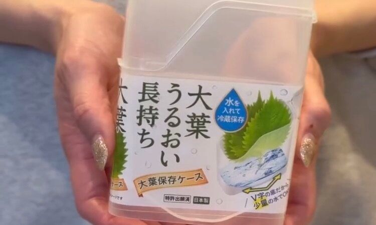 知っていたほうがいいキッチンアイデア！【セリア】「検証してみた」「大満足！」使い方やおすすめのアイテム4選
