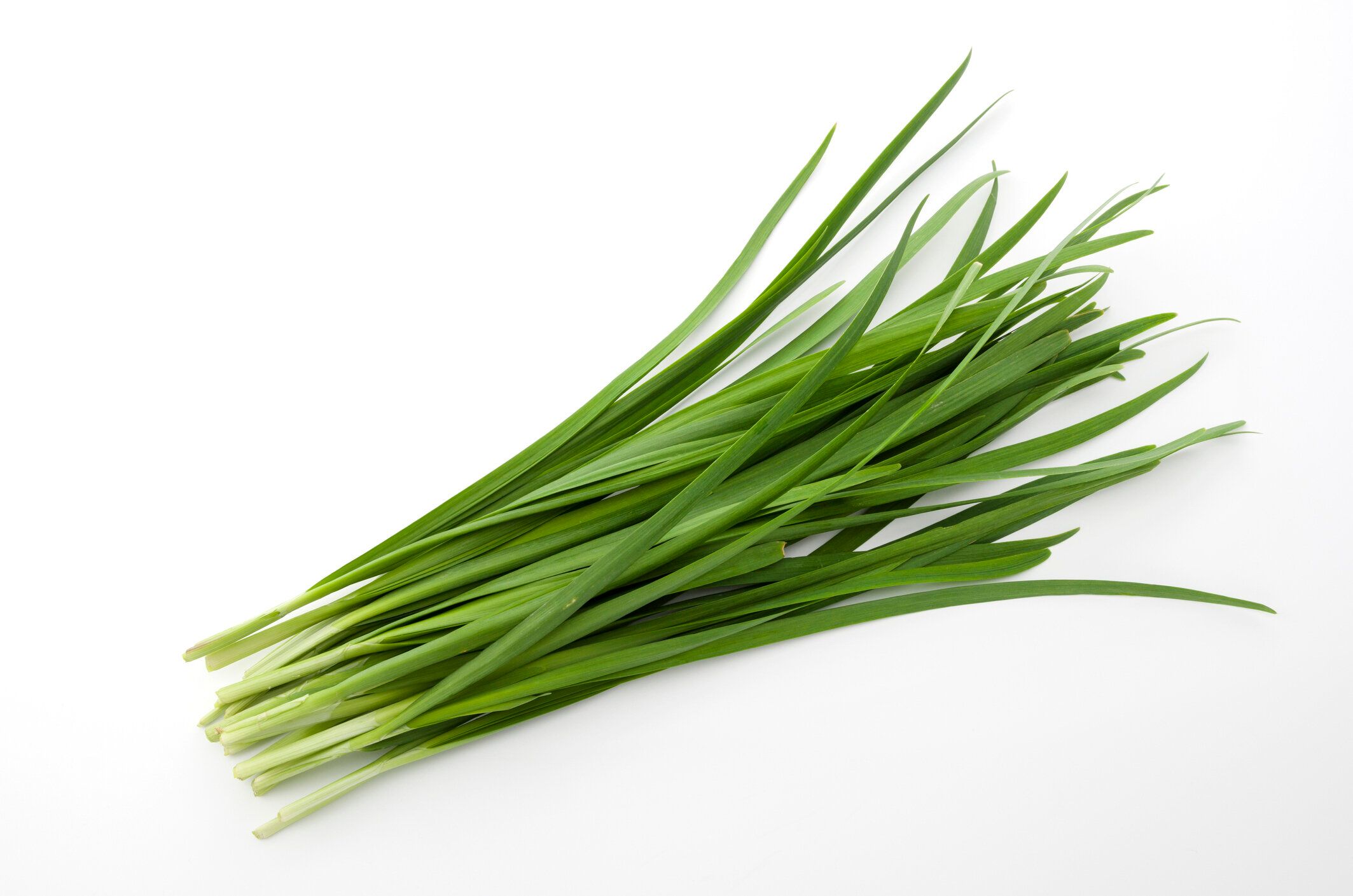 ネギ、ニンニク白背景