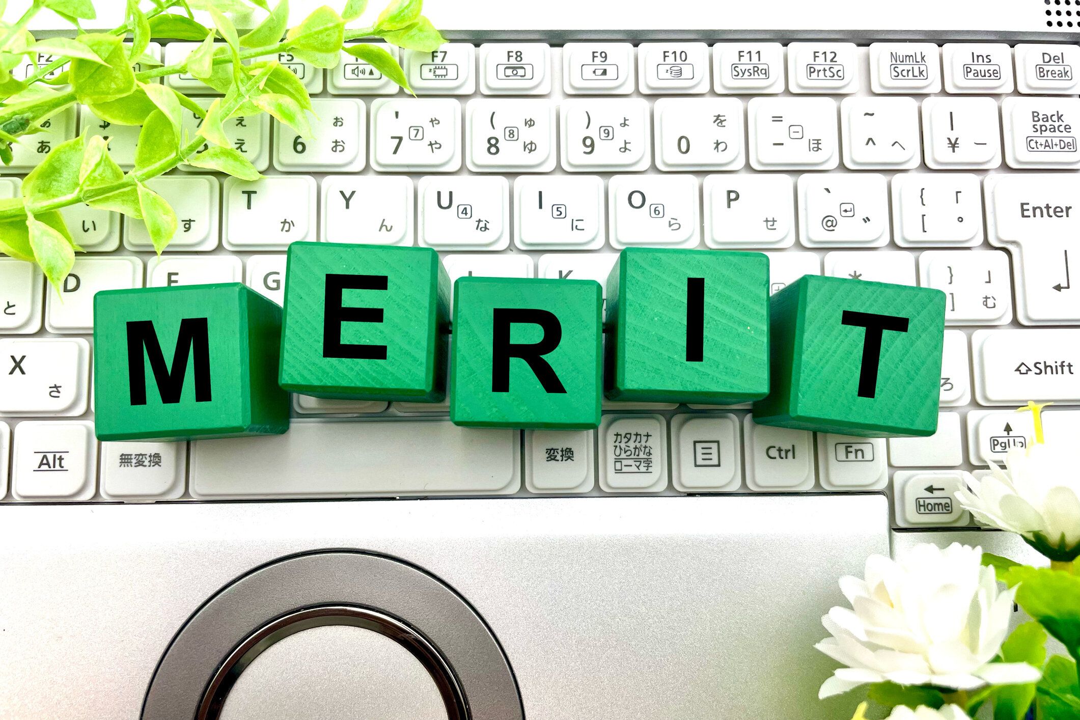 あなたの利益をあなたの上に公開してください