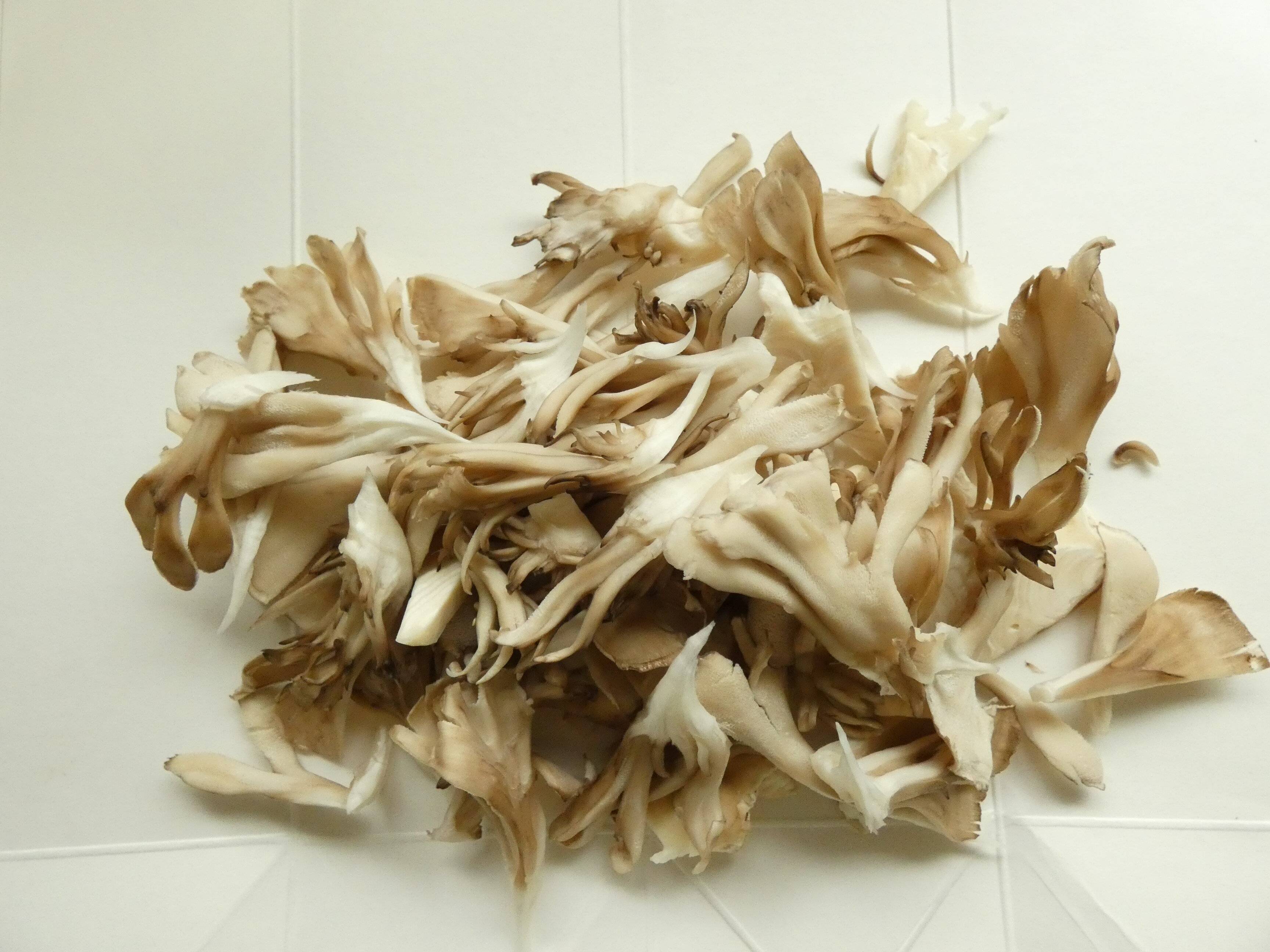 舞茸の炊き込みご飯