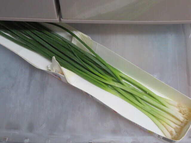 細いネギはそのまま冷凍