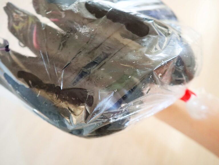 買ってきた袋のままはNG！意外とやりがちな野菜の非常識「なすの正しい保存方法」って？