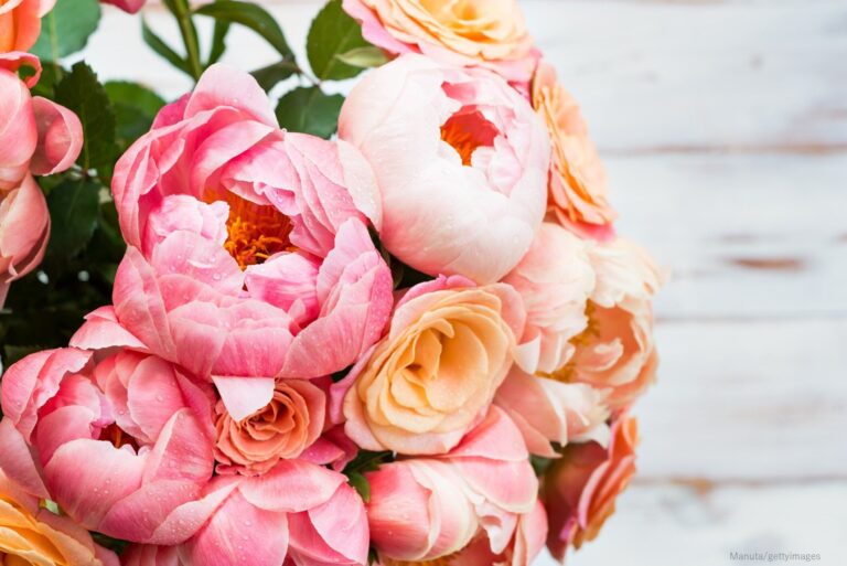 最強に効果が出るシートマスクの使い方・選び方