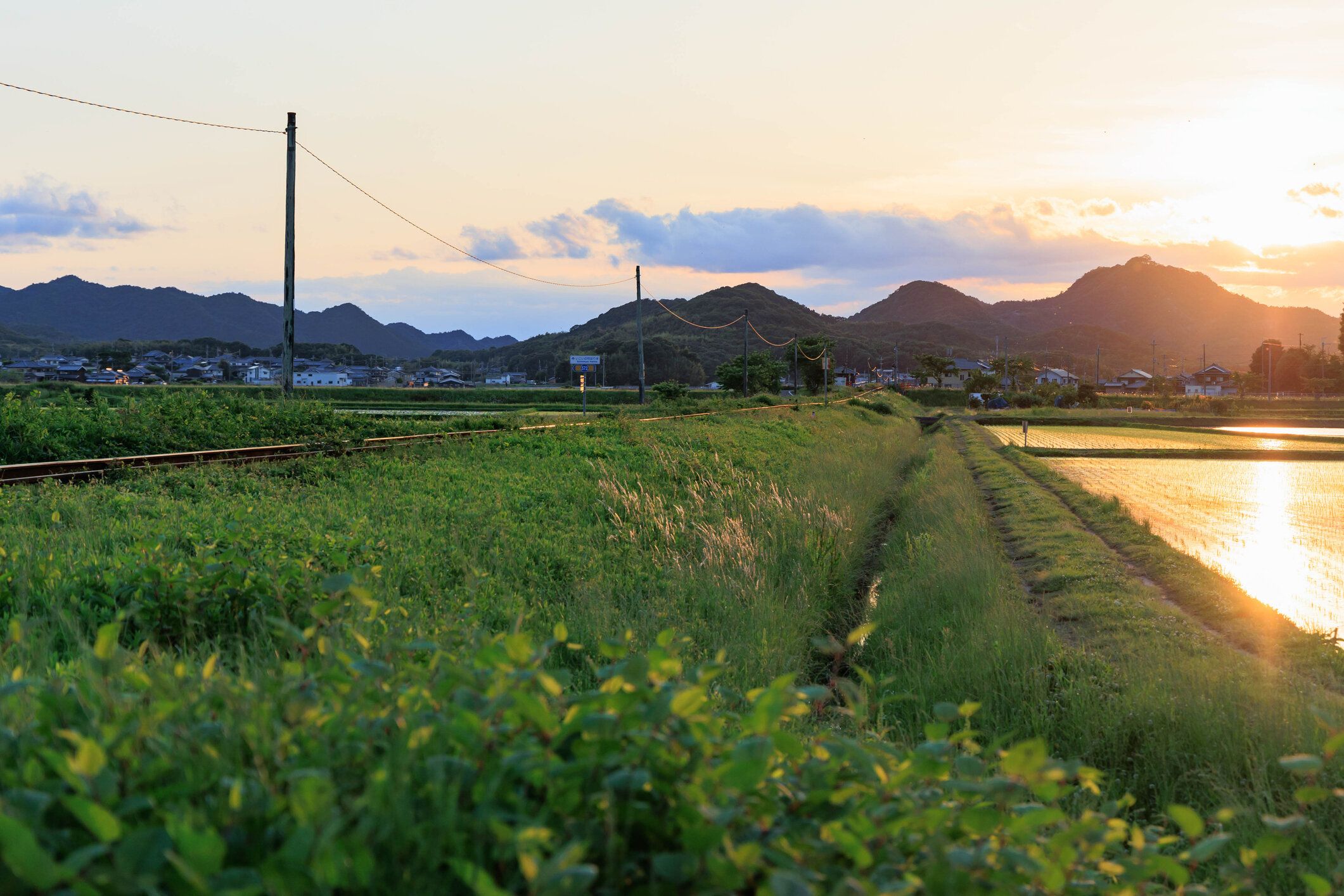 初夏の田園風景「田園風景」