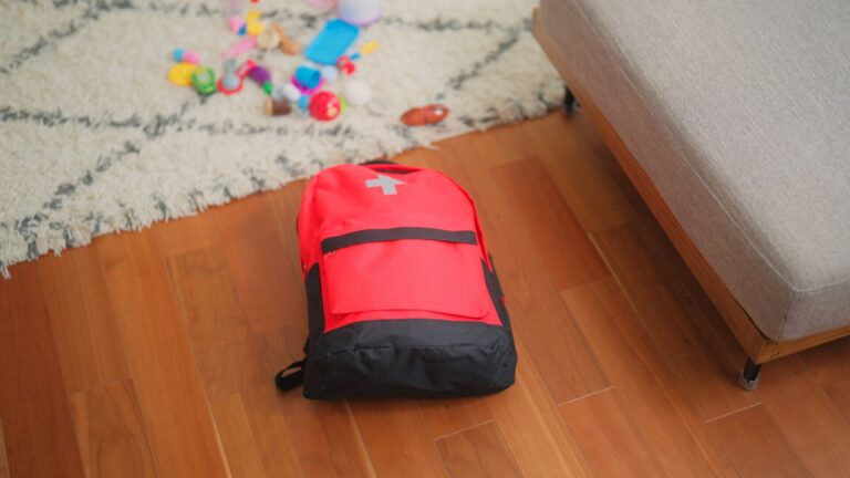 【防災】用途に合わせて準備！必要最低限が入ったもしものマイバッグ3選