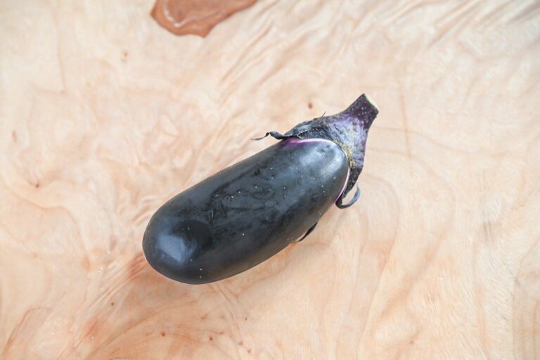 【旬食材】なすは季節で保存場所を変えよう！＆なすがあったら絶対作って♪おすすめ和食・洋食レシピ