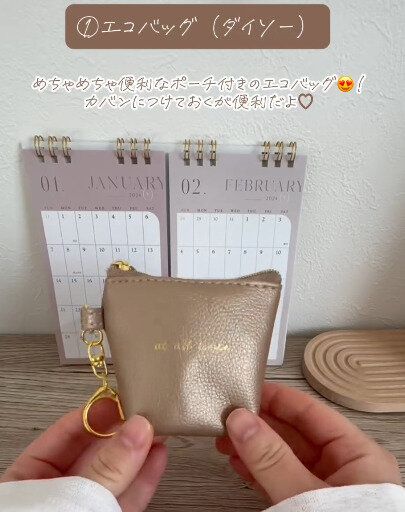 めちゃめちゃ便利!「折りたたみエコバッグ(舟形ミニポーチ付)」