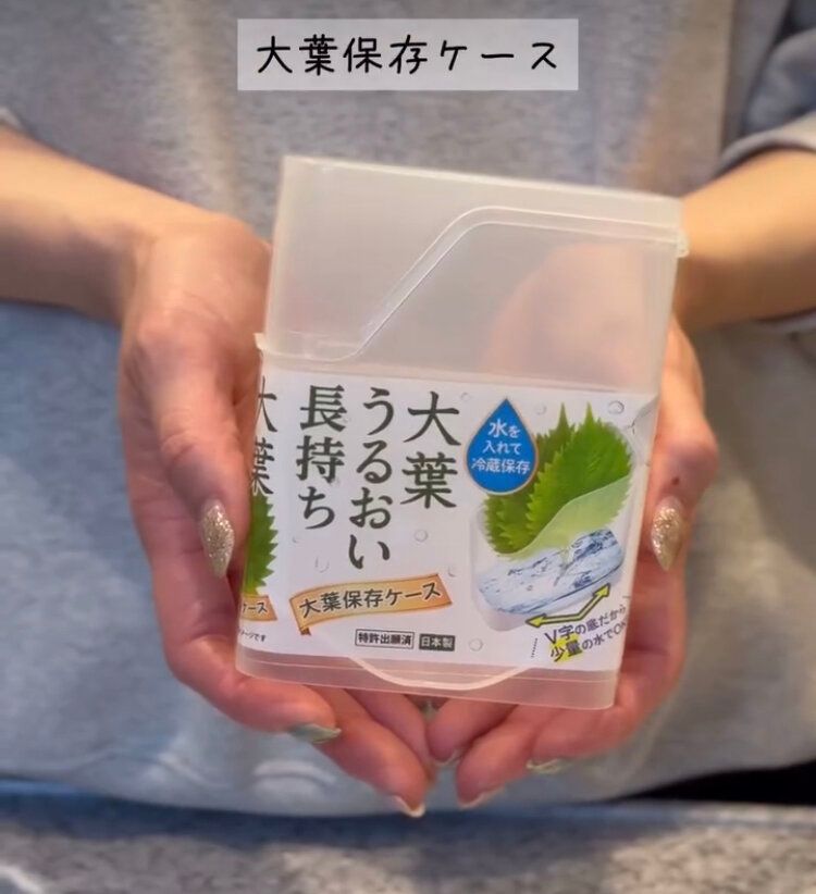 大葉保存ケース
