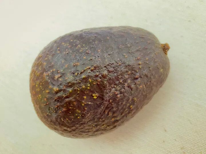 ハリツヤがある