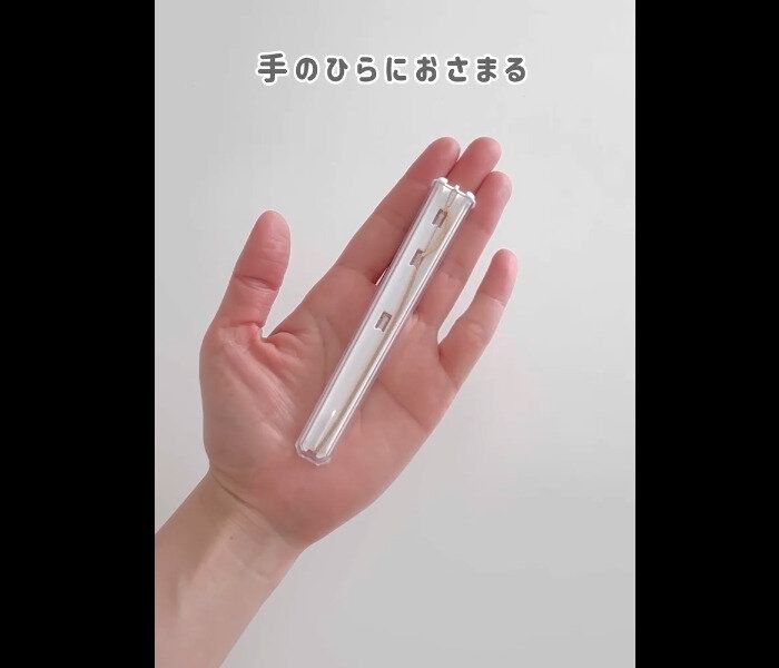 【セリア】ふってもずれない!ネックレスケース