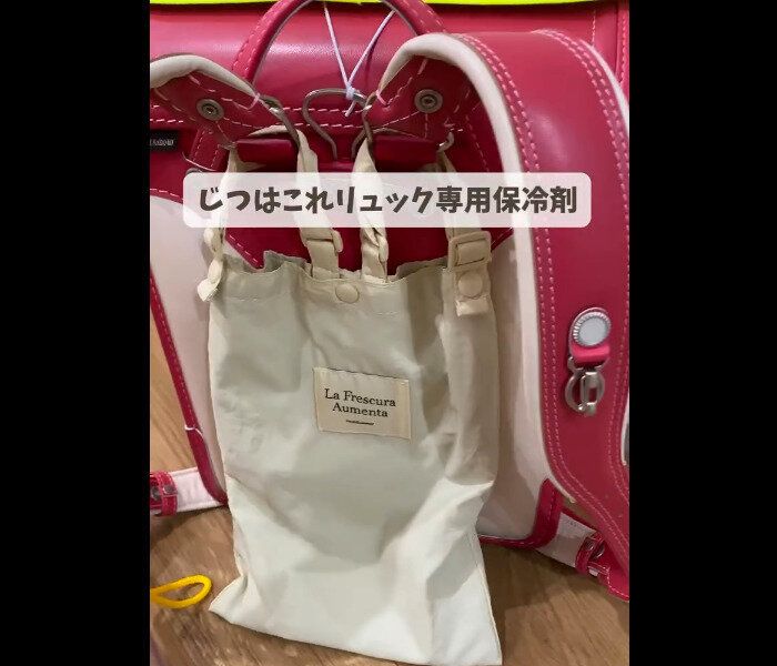 【3COINS】人気すぎて在庫なし!保冷ジェルリュック用