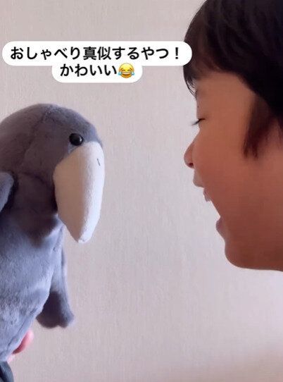 おしゃべりをマネするよ！その名も「おしゃべりハシビロコウ」