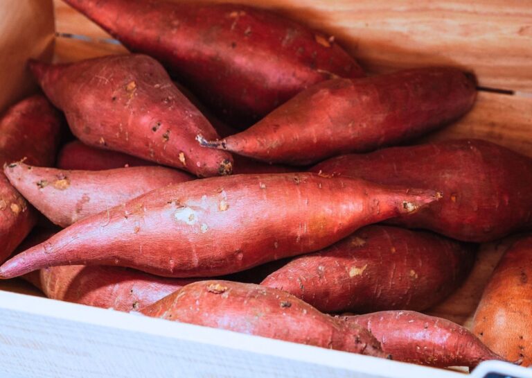 さつまいもは意外と持たないから冷凍して！忘れがちだけど重要な「ひと手間」も野菜ソムリエが解説