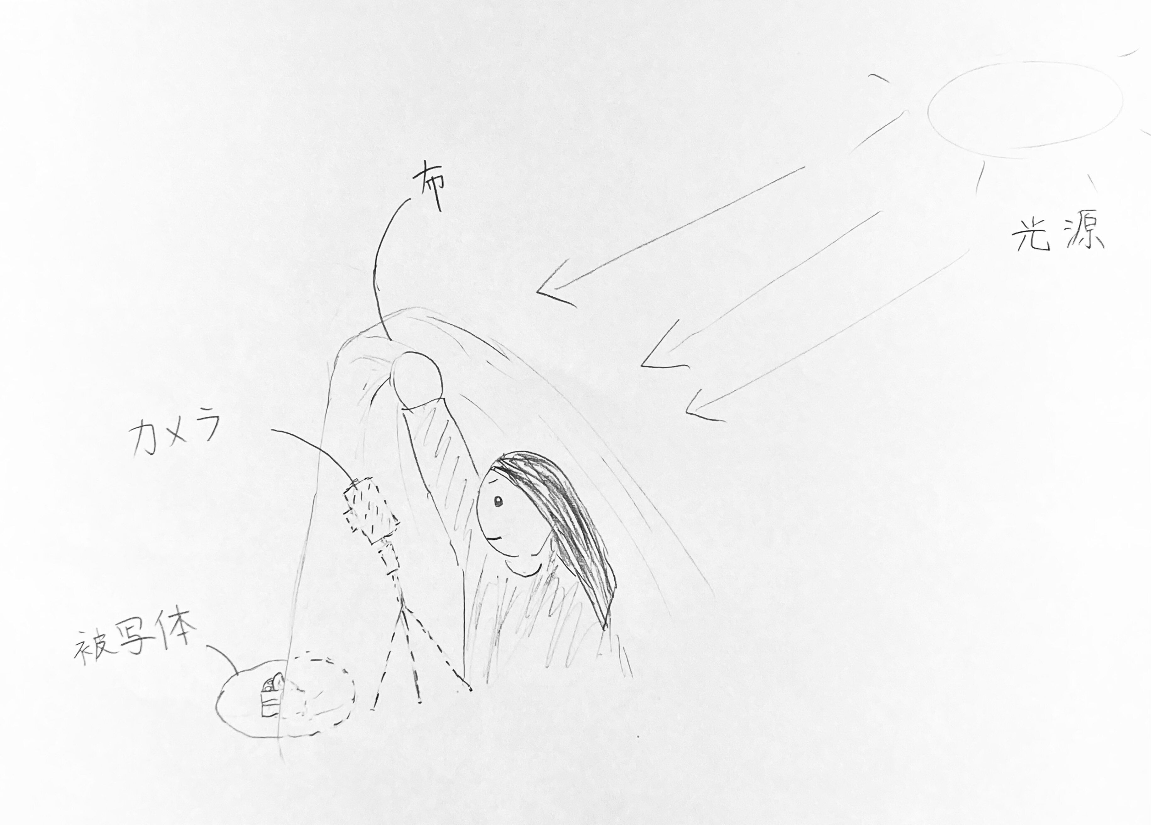 撮りかたイメージ